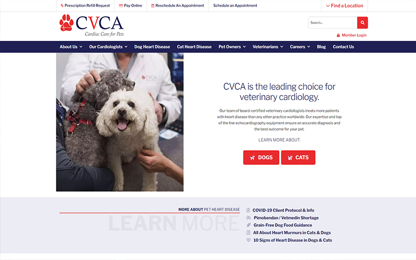 Example of CVCA – Cardiac Care for Pets
